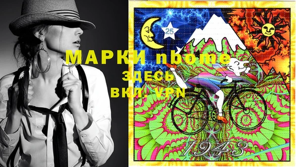 прущий лед Алзамай