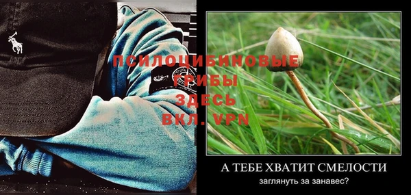 PSILOCYBIN Гусев