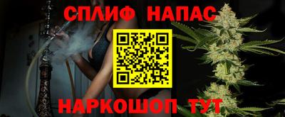 стаф Моздок
