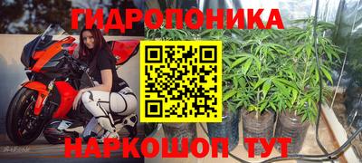 ешки Можга