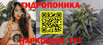 ешки Можга