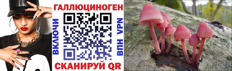 Псилоцибиновые грибы мицелий  omg зеркало  Ухта 