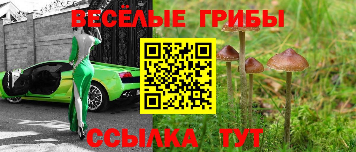 закладка  Псилоцибиновые грибы Psilocybine cubensis  Вход с VPN  Ухта 
