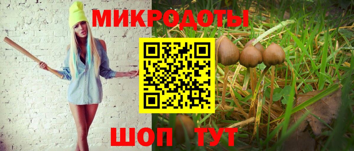Галлюциногенные грибы Psilocybine cubensis Ухта